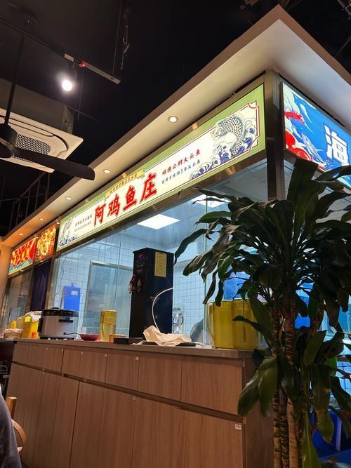 祥龍魚場APP有哪些功能？，祥龍魚場app有哪些功能為用戶誤記、虛構或混淆