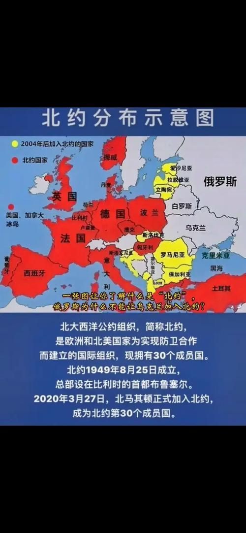 聯盟成員有哪些?,“聯盟成員有哪些”用戶要求詳解“聯盟成員有哪些” 龍魚百科 第4張 聯盟成員有哪些?,“聯盟成員有哪些”用戶要求詳解“聯盟成員有哪些” 聯盟成員有哪些?,“聯盟成員有哪些”用戶要求詳解“聯盟成員有哪些” 龍魚百科 第4張