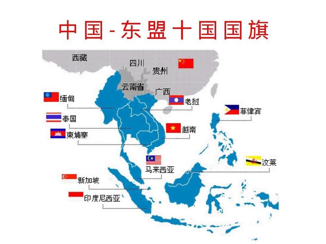 聯盟成員有哪些?,“聯盟成員有哪些”用戶要求詳解“聯盟成員有哪些” 龍魚百科 第10張 聯盟成員有哪些?,“聯盟成員有哪些”用戶要求詳解“聯盟成員有哪些” 聯盟成員有哪些?,“聯盟成員有哪些”用戶要求詳解“聯盟成員有哪些” 龍魚百科 第10張