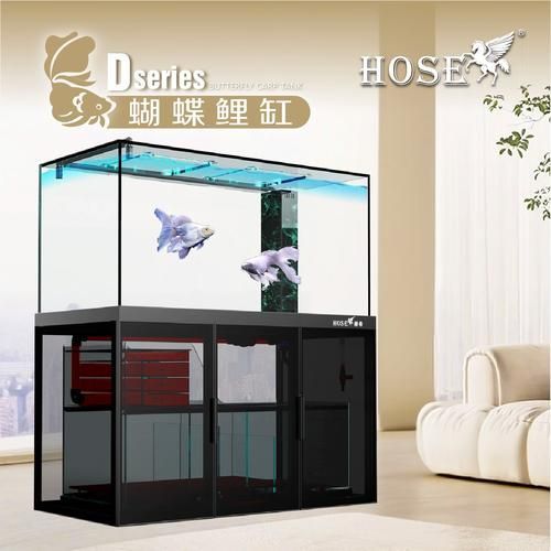 赫希龍魚缸有哪些智能功能？，關于赫希龍魚缸的一些問題