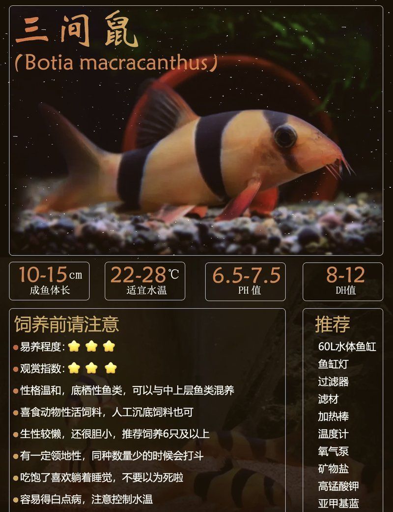 三間鼠魚，三間鼠魚的生態(tài)習(xí)性、繁殖方式以及在生態(tài)系統(tǒng)中的作用