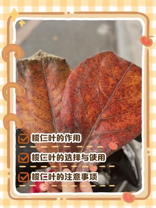 如何預防小火龍魚患病,如何科學預防小火龍魚患病 龍魚百科 第5張 如何預防小火龍魚患病,如何科學預防小火龍魚患病 如何預防小火龍魚患病,如何科學預防小火龍魚患病 龍魚百科 第5張