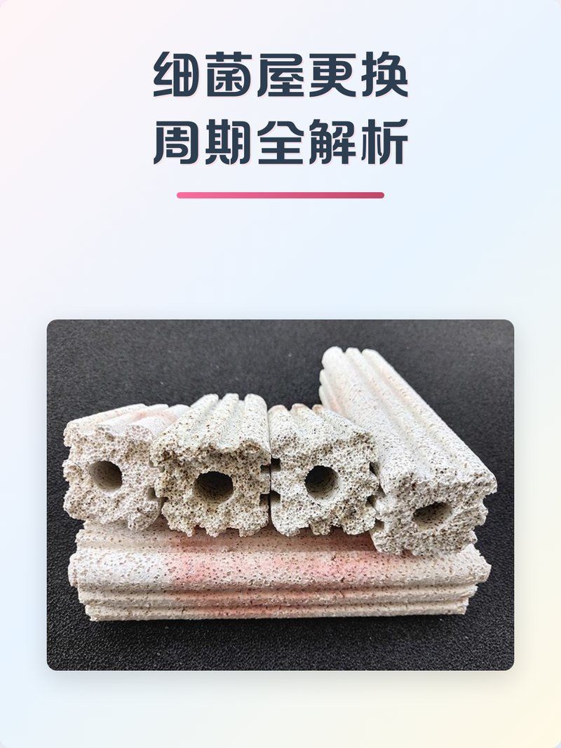 細菌屋多久換一次合適,細菌屋更換周期全解析