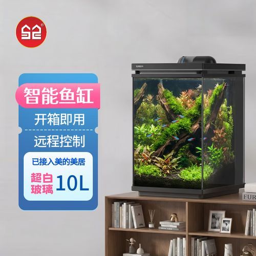博宇和森森哪個品牌更好？，博宇和森森哪個品牌口碑更好？
