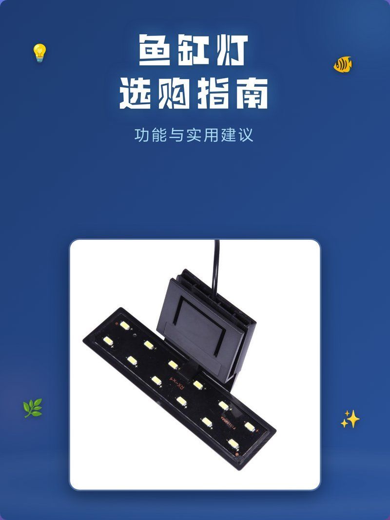 有哪些魚缸燈具推薦，魚缸燈具的選擇對于營造一個美觀且適宜水下環境至關重要 有哪些魚缸燈具推薦，魚缸燈具的選擇對于營造一個美觀且適宜水下環境至關重要 龍魚百科 第6張