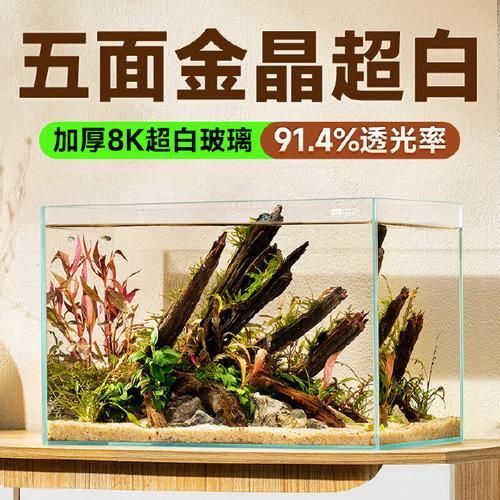 有沒有這些品牌魚缸的尺寸推薦？，魚缸尺寸怎么選擇？ 有沒有這些品牌魚缸的尺寸推薦？，魚缸尺寸怎么選擇？ 龍魚百科 第14張