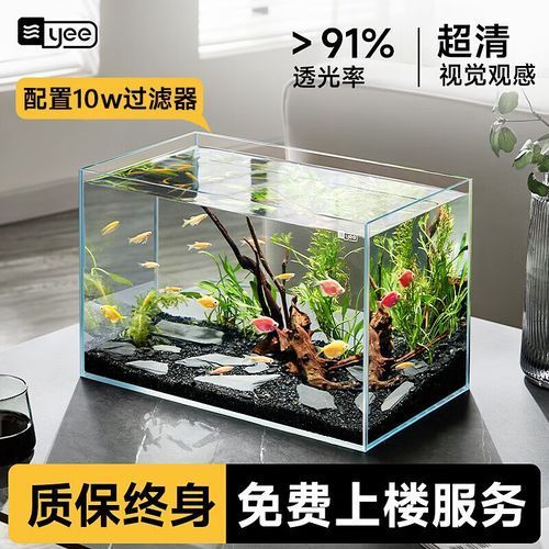有沒有這些品牌魚缸的尺寸推薦？，魚缸尺寸怎么選擇？ 有沒有這些品牌魚缸的尺寸推薦？，魚缸尺寸怎么選擇？ 龍魚百科 第15張