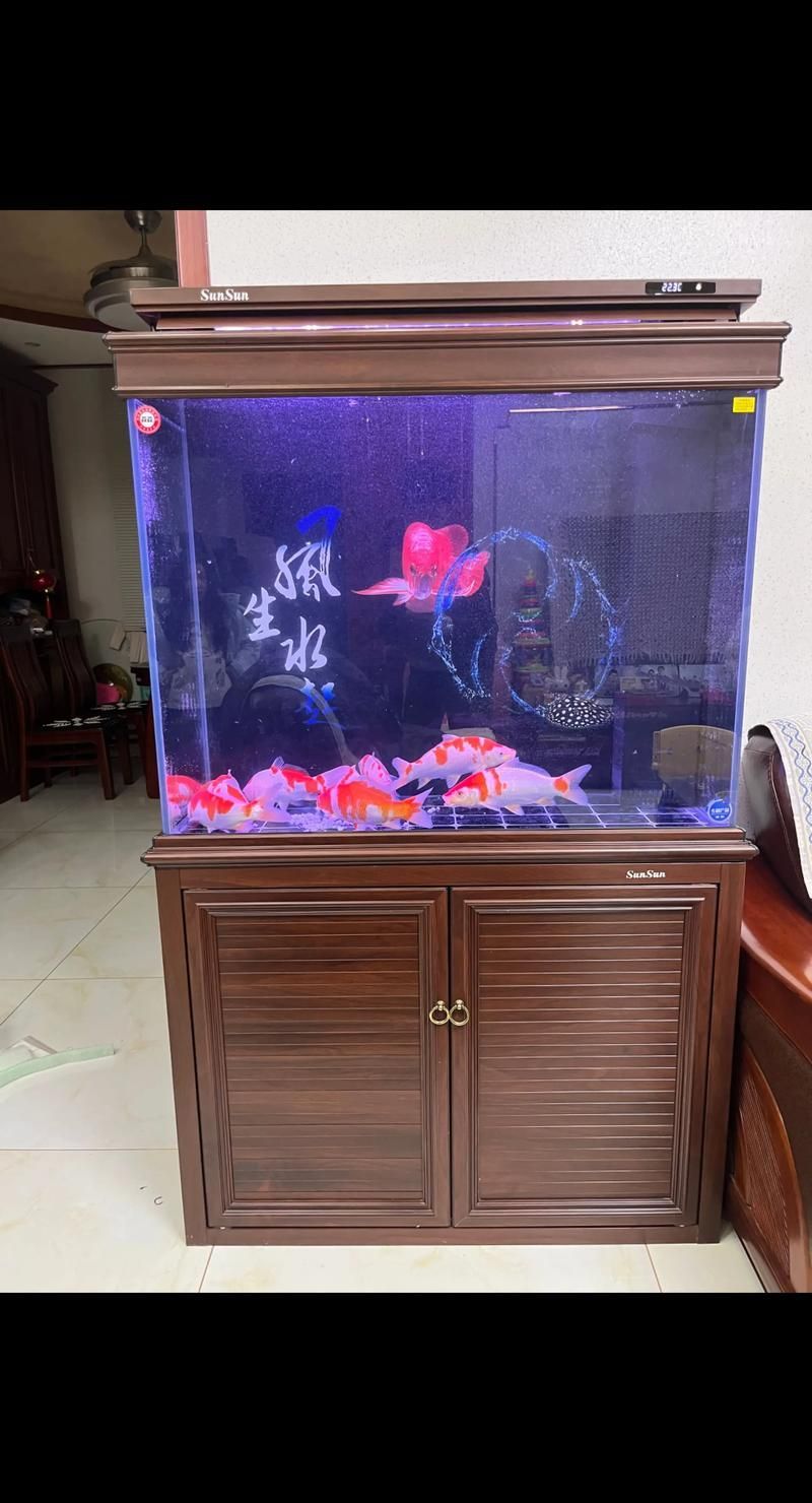 有沒有這些品牌魚缸的尺寸推薦？，魚缸尺寸怎么選擇？ 有沒有這些品牌魚缸的尺寸推薦？，魚缸尺寸怎么選擇？ 龍魚百科 第6張
