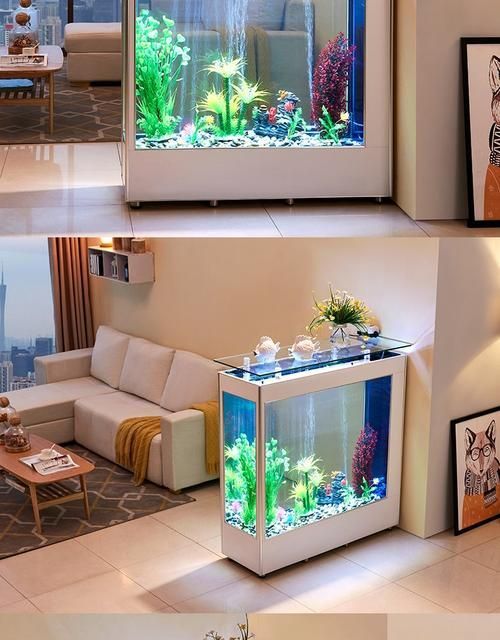 給我一些家庭水族箱布置的圖片，家庭水族箱如何布置