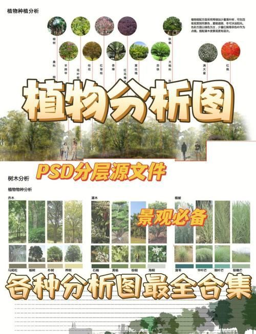 能否提供更詳細的圖片解析，圖像解析力測評的對比表格