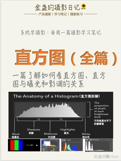 能否提供更詳細的圖片解析，圖像解析力測評的對比表格