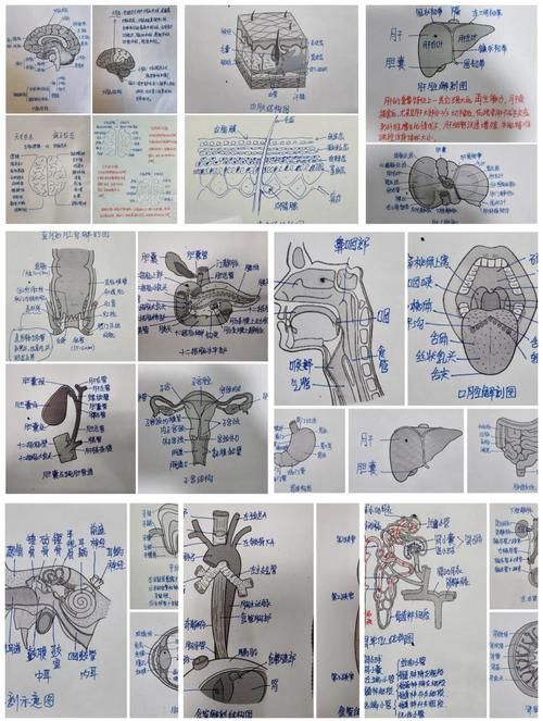 能否提供更詳細的圖片解析，圖像解析力測評的對比表格