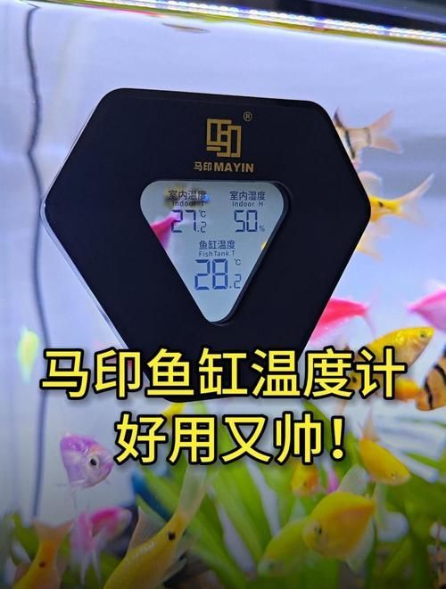 馬印水族，中“馬印水族商業” 馬印水族，中“馬印水族商業” 龍魚百科 第2張