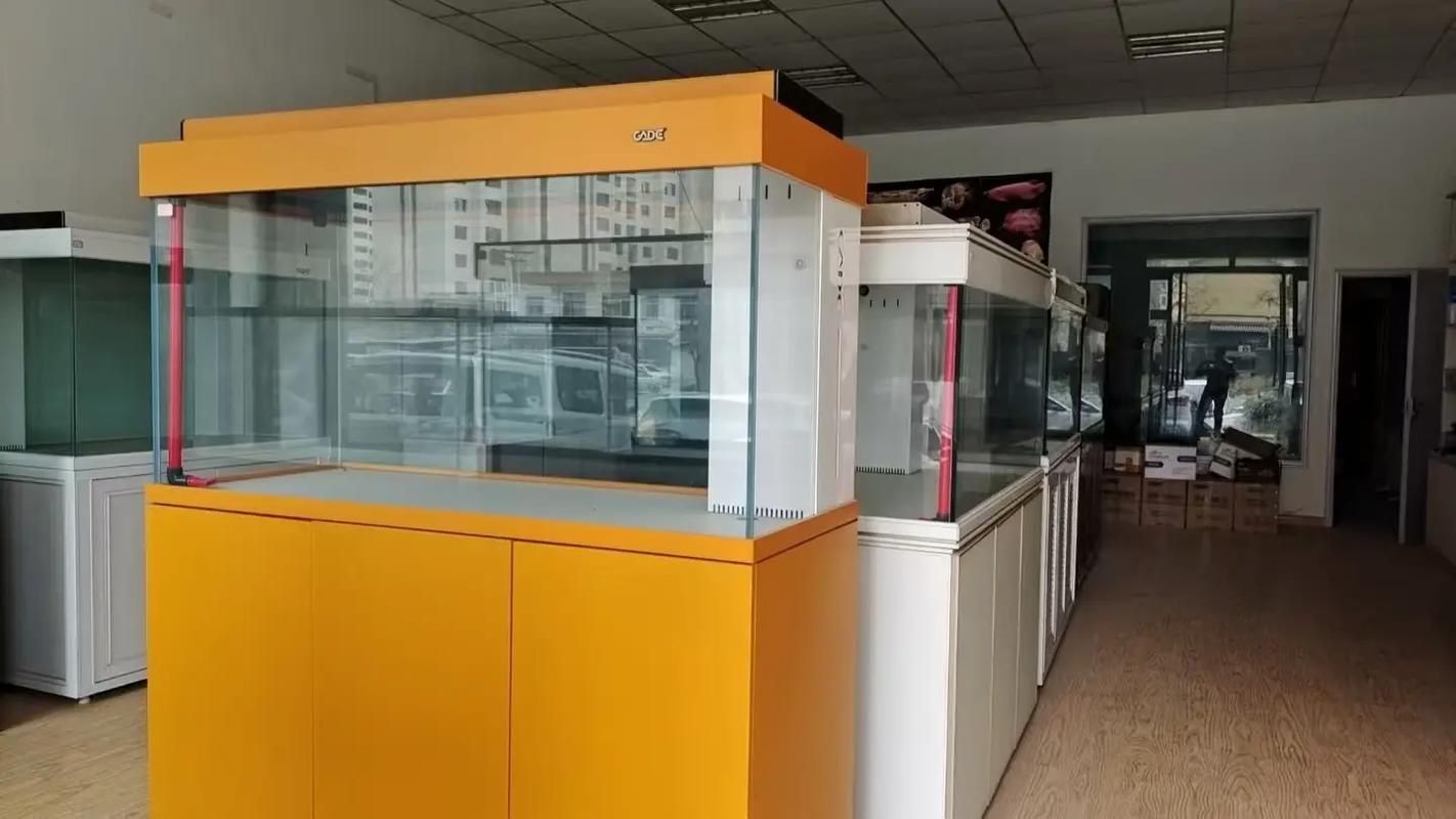 彩鰈龍魚缸哪個型號最好?,彩鰈龍魚缸哪個型號最好 龍魚百科 第6張 彩鰈龍魚缸哪個型號最好?,彩鰈龍魚缸哪個型號最好 彩鰈龍魚缸哪個型號最好?,彩鰈龍魚缸哪個型號最好 龍魚百科 第6張