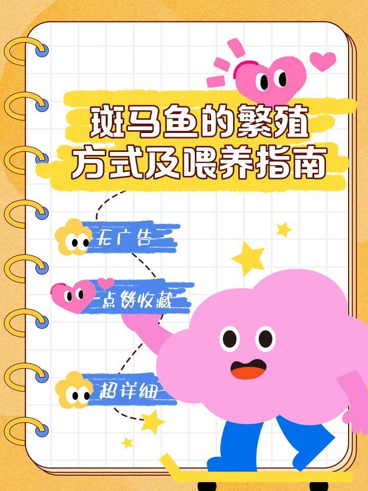 斑馬魚繁殖期如何飼養，斑馬魚繁殖期如何飼養，簡單又高效的方法