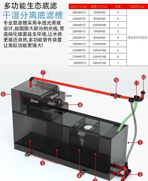 如何判斷龍魚缸的品質？，判斷一個龍魚缸是否優質，從以下幾個方面進行評估 如何判斷龍魚缸的品質？，判斷一個龍魚缸是否優質，從以下幾個方面進行評估 龍魚百科 第8張