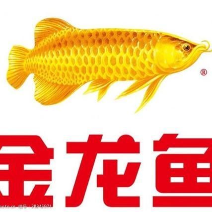 如何通過搜索引擎找到知名龍魚品牌的圖片？，如何通過搜索引擎高效找到知名龍魚品牌的圖片？ 如何通過搜索引擎找到知名龍魚品牌的圖片？，如何通過搜索引擎高效找到知名龍魚品牌的圖片？ 龍魚百科 第14張