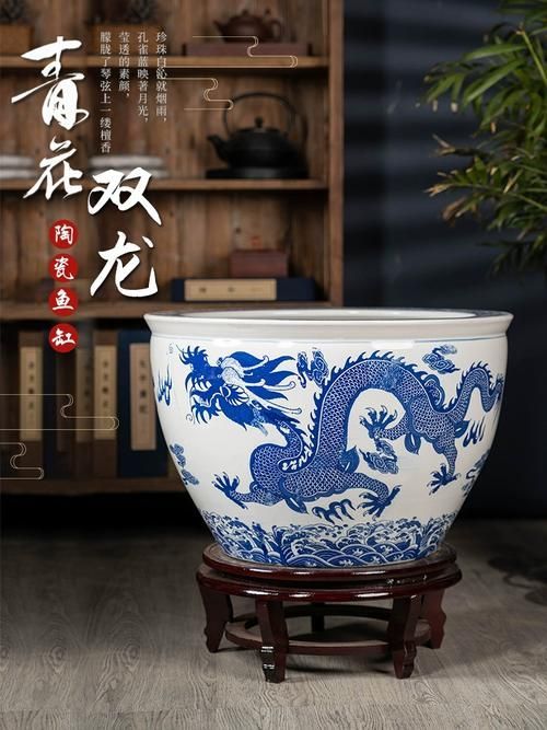 給我一些龍魚缸的裝飾圖片