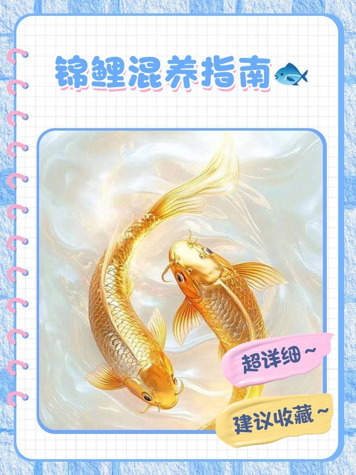 混養魚類時需要注意什么，混養魚類時需要注意什么，錦鯉混養指南