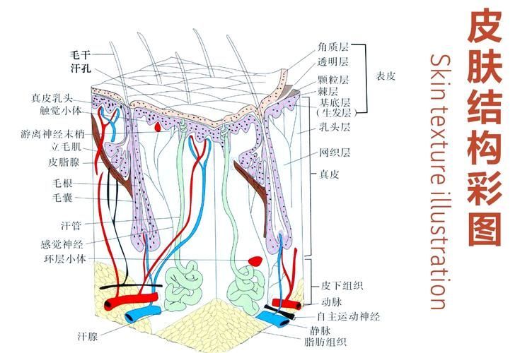 黃粉治療蒙眼病有哪些副作用，黃粉治療“蒙眼病”
