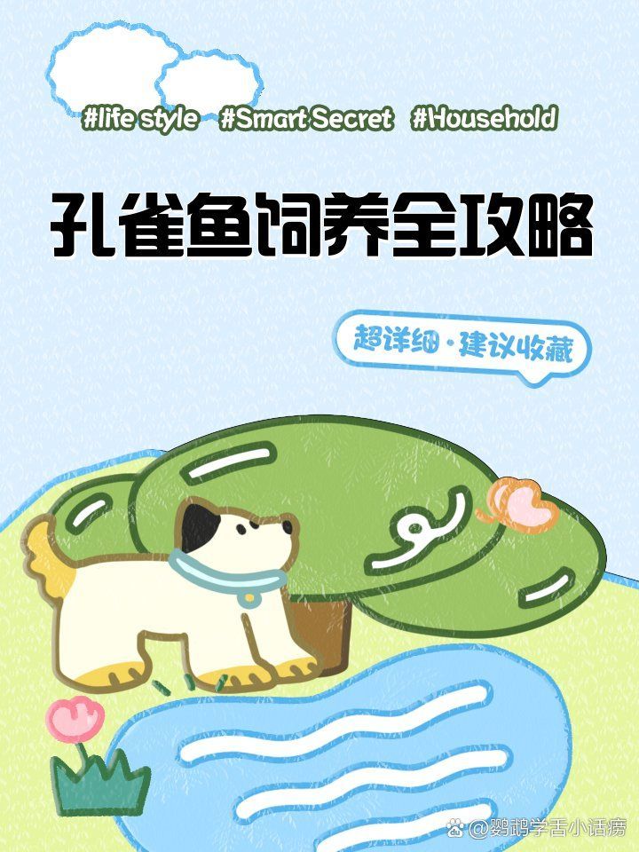 給我一些養孔雀魚的技巧