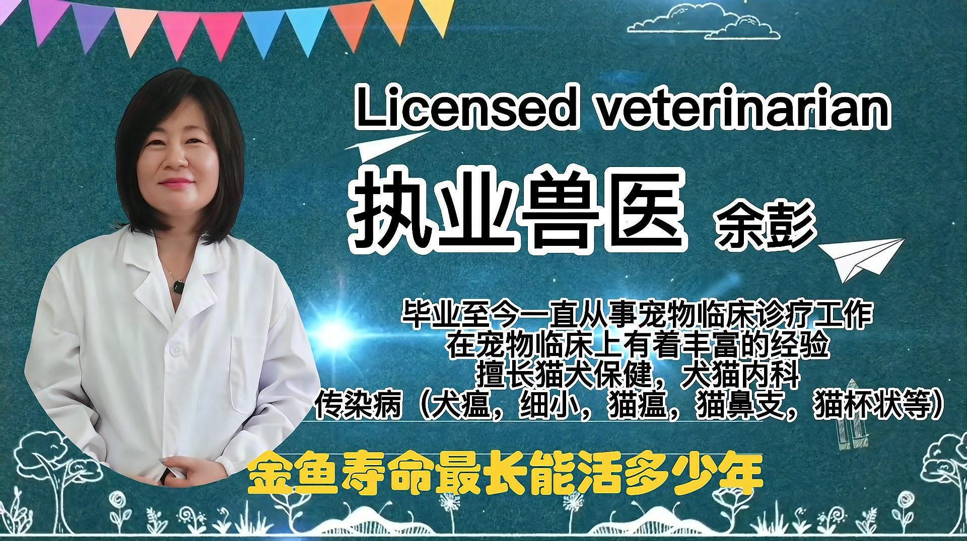 黑龍睛金魚的壽命有多長，金魚壽命最長能活多少年