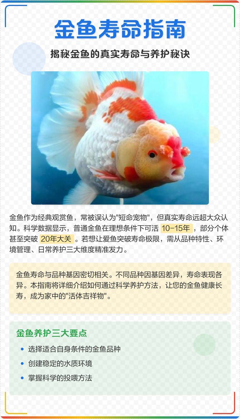 黑龍睛金魚的壽命有多長，金魚壽命最長能活多少年