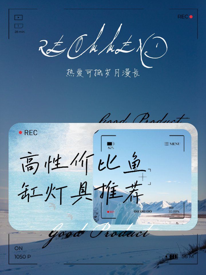 魚缸燈推薦