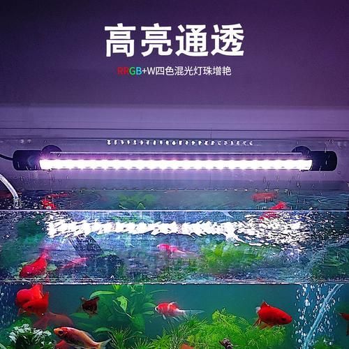 魚缸燈推薦