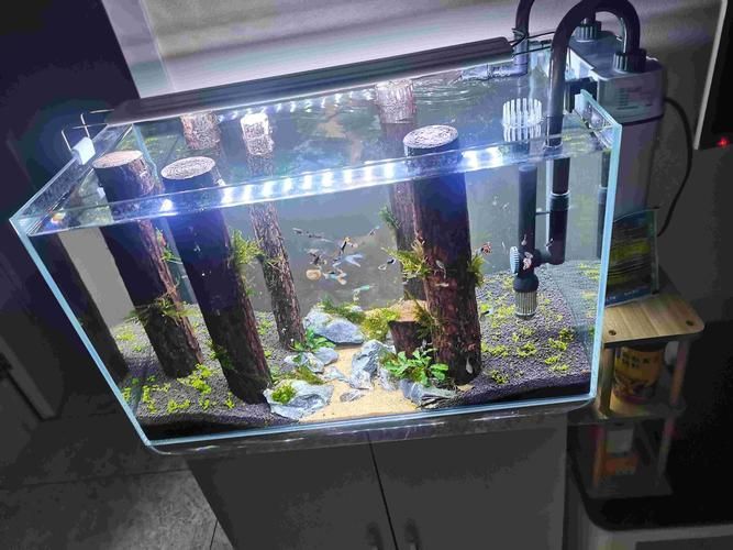魚缸燈推薦
