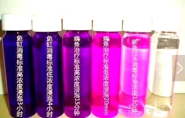 如何預防魚鰓爛掉，如何科學預防魚鰓爛掉 如何預防魚鰓爛掉，如何科學預防魚鰓爛掉 龍魚百科 第9張
