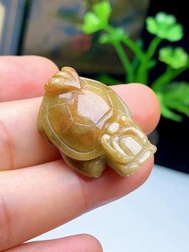 龍龜擺件有哪些材質選擇 龍龜擺件有哪些材質選擇 龍魚百科 第5張