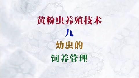 黃粉治療黑霉有哪些副作用，黃粉治療黑霉有哪些副作用調用工具 黃粉治療黑霉有哪些副作用，黃粉治療黑霉有哪些副作用調用工具 龍魚百科 第7張