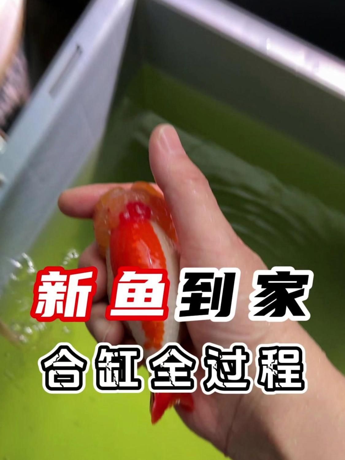 如何預防合缸后的交叉感染，合缸后的交叉感染是醫療環境中一個嚴重的問題