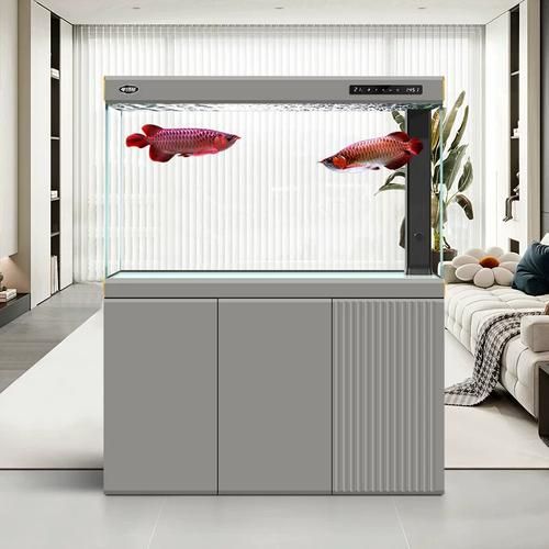 漢霸龍魚缸的價格范圍是多少？，漢霸龍魚缸價格因尺寸、材質(zhì)和功能不同而有所差異