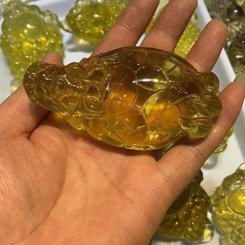 如何判斷龍龜是否具有靈性，如何判斷龍龜是否具有靈性，