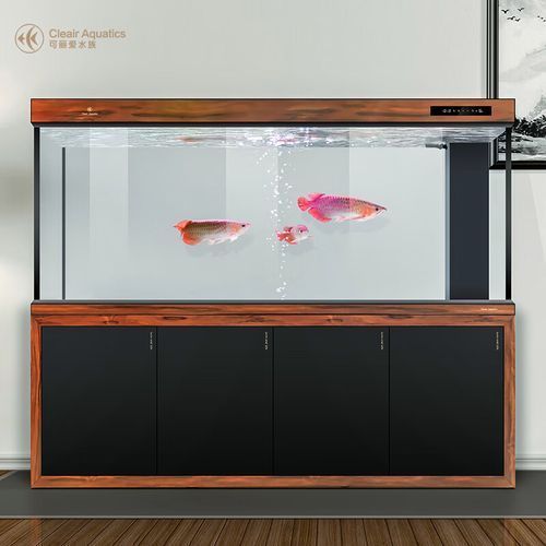 高端龍魚缸品牌有哪些？，高端龍魚缸品牌有哪些
