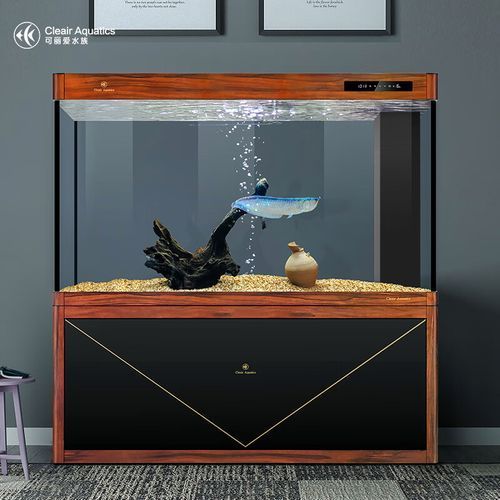 高端龍魚缸品牌有哪些？，高端龍魚缸品牌有哪些
