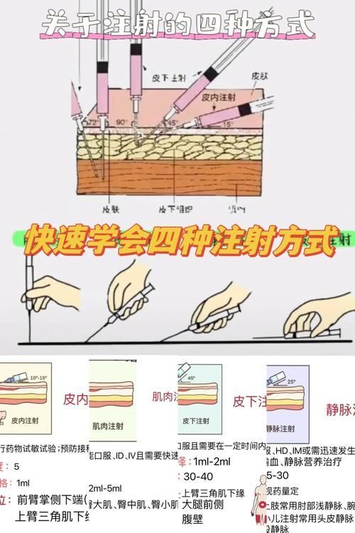 如何預防魚頭充血病
