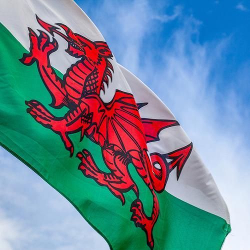 紅龍旗設計有哪些變體，威爾士紅龍旗的高清圖像設計規范圖文并茂的紅龍旗設計 紅龍旗設計有哪些變體，威爾士紅龍旗的高清圖像設計規范圖文并茂的紅龍旗設計 龍魚百科 第5張