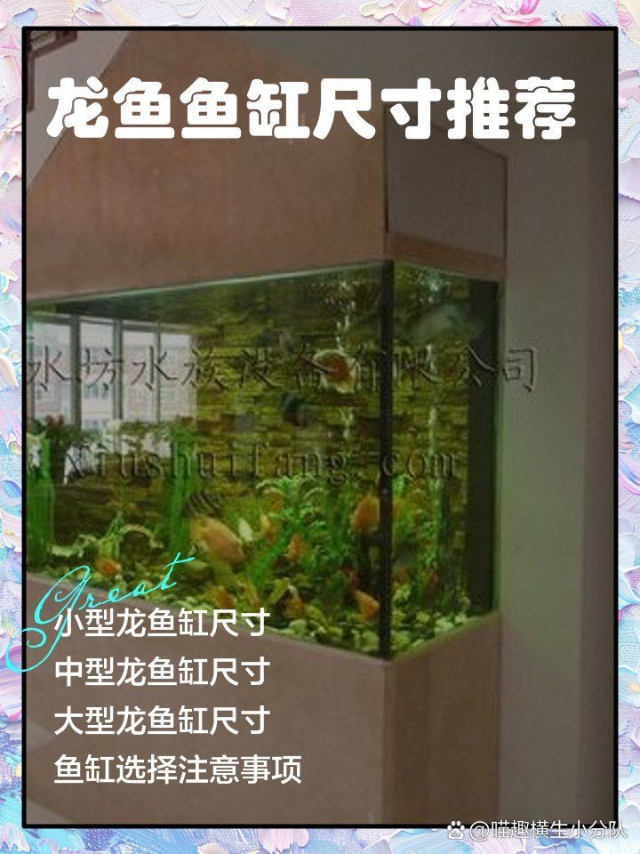 如何判斷龍魚是否適合小缸飼養，如何判斷龍魚是否適合小缸飼養， 如何判斷龍魚是否適合小缸飼養，如何判斷龍魚是否適合小缸飼養， 龍魚百科 第2張