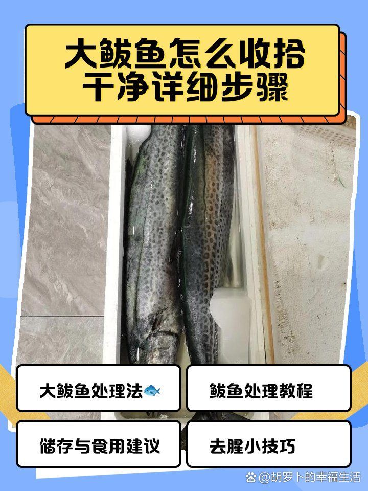 如何安全地食用鲅魚，如何安全地食用鲅魚，如何安全地食用鲅魚成為一個值得探討的問題 如何安全地食用鲅魚，如何安全地食用鲅魚，如何安全地食用鲅魚成為一個值得探討的問題 龍魚百科 第1張