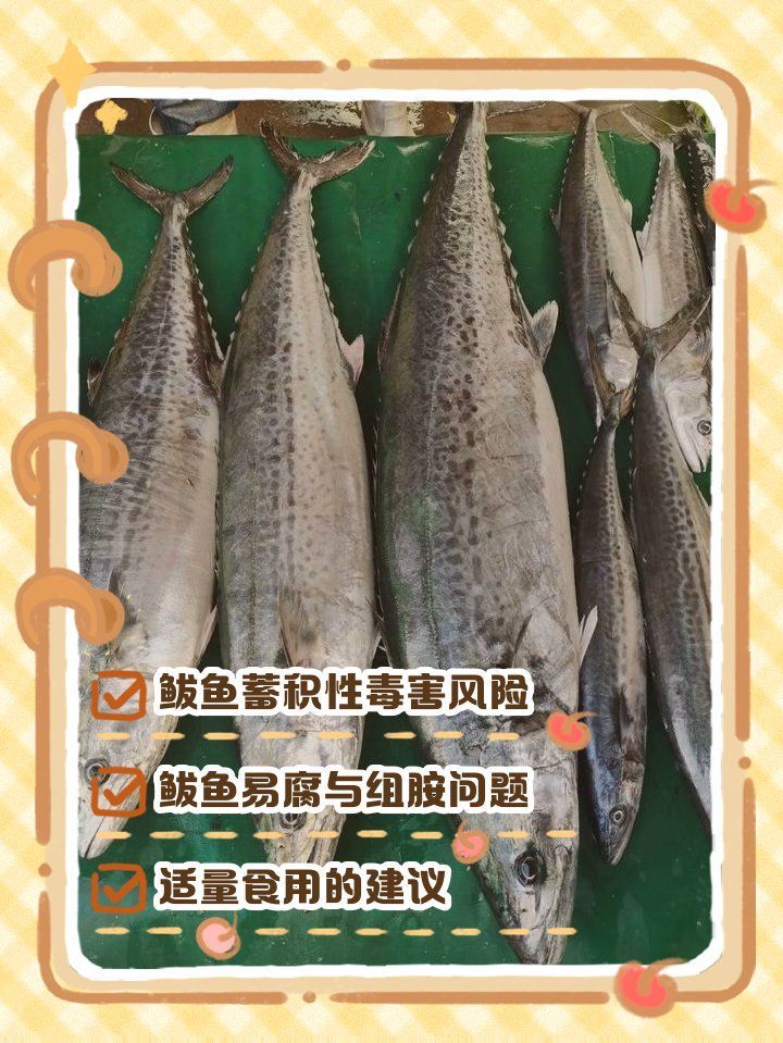 如何安全地食用鲅魚，如何安全地食用鲅魚，如何安全地食用鲅魚成為一個值得探討的問題 如何安全地食用鲅魚，如何安全地食用鲅魚，如何安全地食用鲅魚成為一個值得探討的問題 龍魚百科 第3張