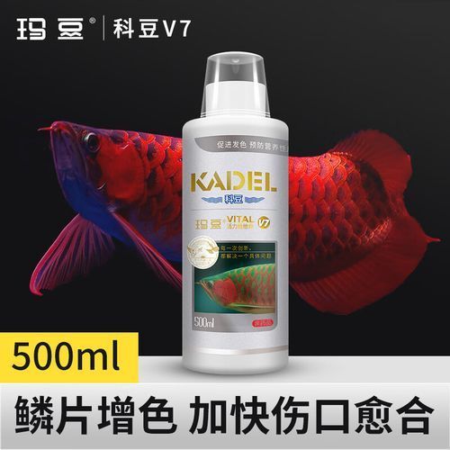 如何預(yù)防龍魚(yú)鰓蓋小洞的發(fā)生，如何預(yù)防龍魚(yú)鰓蓋小洞的發(fā)生，預(yù)防龍魚(yú)鰓蓋小洞的發(fā)生 如何預(yù)防龍魚(yú)鰓蓋小洞的發(fā)生，如何預(yù)防龍魚(yú)鰓蓋小洞的發(fā)生，預(yù)防龍魚(yú)鰓蓋小洞的發(fā)生 龍魚(yú)百科 第18張