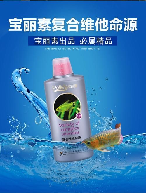如何預(yù)防龍魚(yú)鰓蓋小洞的發(fā)生，如何預(yù)防龍魚(yú)鰓蓋小洞的發(fā)生，預(yù)防龍魚(yú)鰓蓋小洞的發(fā)生 如何預(yù)防龍魚(yú)鰓蓋小洞的發(fā)生，如何預(yù)防龍魚(yú)鰓蓋小洞的發(fā)生，預(yù)防龍魚(yú)鰓蓋小洞的發(fā)生 龍魚(yú)百科 第15張