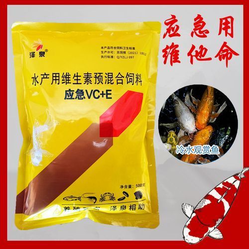 如何預(yù)防龍魚(yú)鰓蓋小洞的發(fā)生，如何預(yù)防龍魚(yú)鰓蓋小洞的發(fā)生，預(yù)防龍魚(yú)鰓蓋小洞的發(fā)生 如何預(yù)防龍魚(yú)鰓蓋小洞的發(fā)生，如何預(yù)防龍魚(yú)鰓蓋小洞的發(fā)生，預(yù)防龍魚(yú)鰓蓋小洞的發(fā)生 龍魚(yú)百科 第13張
