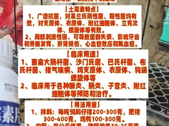 慶大霉素、土霉素和恩諾沙星哪個最有效，慶大霉素,土霉素和恩諾沙星哪個最有效