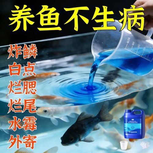 如何正確使用亞甲基藍和黃粉，亞甲基藍與黃粉的正確使用亞甲基藍與黃粉的正確使用方法