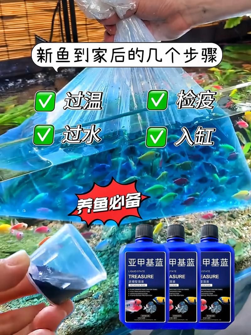 如何正確使用亞甲基藍和黃粉,亞甲基藍與黃粉的正確使用亞甲基藍與黃粉的正確使用方法 龍魚百科 第6張 如何正確使用亞甲基藍和黃粉,亞甲基藍與黃粉的正確使用亞甲基藍與黃粉的正確使用方法 如何正確使用亞甲基藍和黃粉,亞甲基藍與黃粉的正確使用亞甲基藍與黃粉的正確使用方法 龍魚百科 第6張