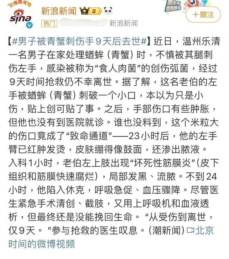 有哪些常見的魚攜帶細菌，常見魚類攜帶致病細菌的系統性詳解